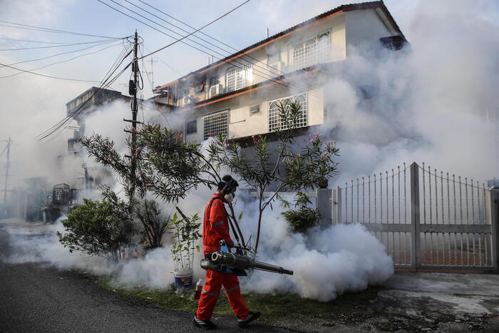 Caso di Dengue a Gorizia, al via disinfestazione
