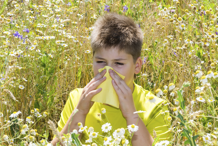 Con il cambiamento del clima rischio allergie tutto l'anno