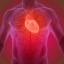 Nel cuore una proteina che inibita cura scompenso cardiaco