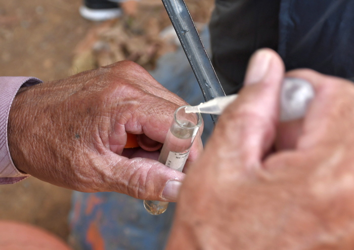 Brasile: epidemia di dengue a Rio, +600% di casi