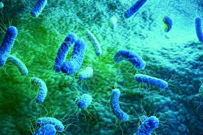 Resistenza agli antibiotici, Italia maglia nera in Ue