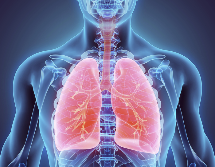 Tumore al polmone, con l'IA verso una terapia personalizzata
