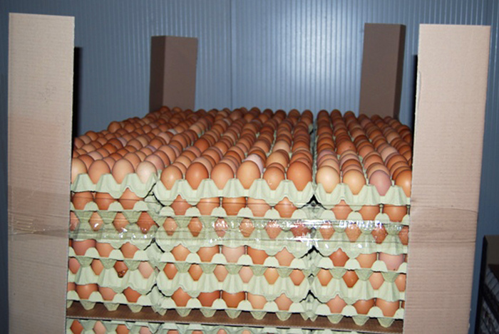 Influenza aviaria fa impennare prezzo delle uova, +22% in Ue